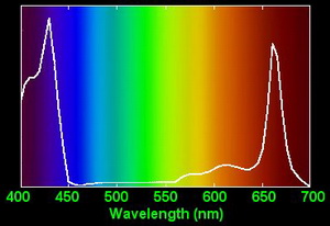 Chlorophyll Absorption Spectrum