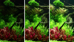 3 different light levels