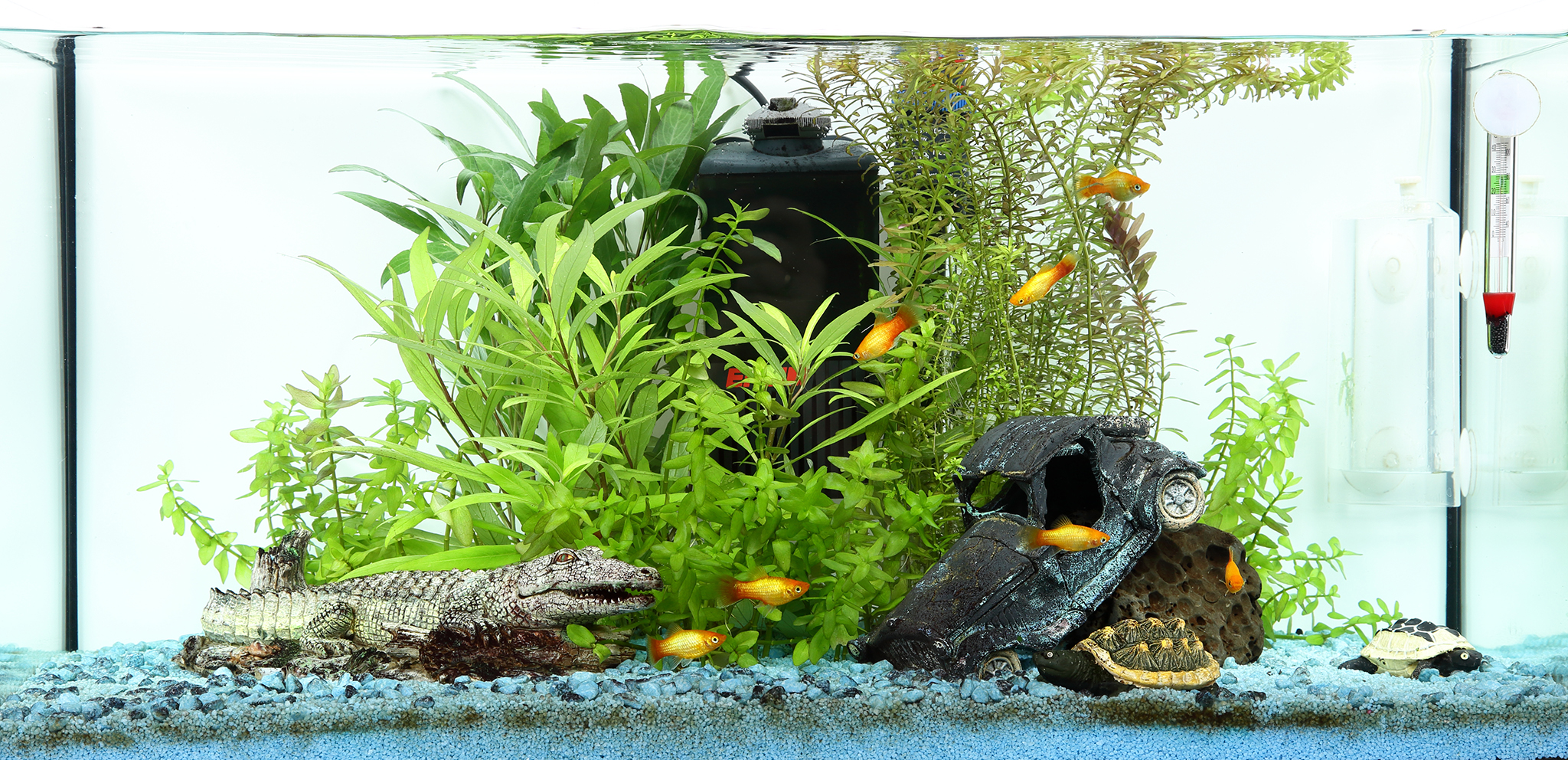 X7 Blue is best-small