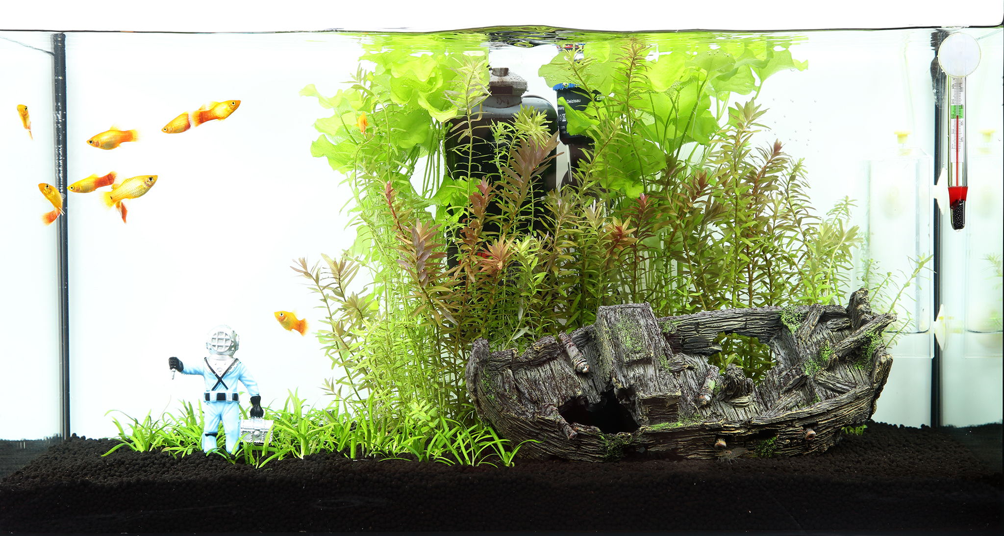 X5 My green green garden-small