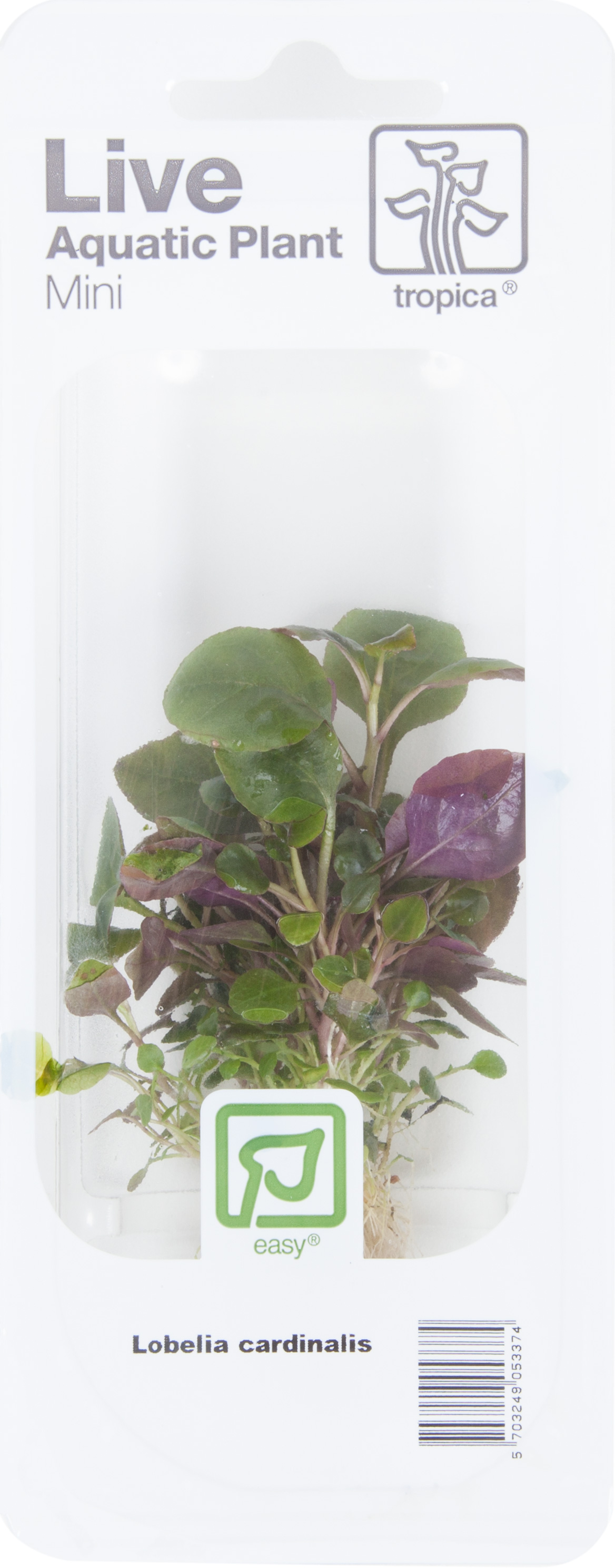 053C-MP-in-packaging